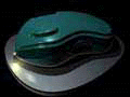 Mouse-265KB by Dolphin